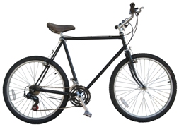 Burning Man bicycle rental